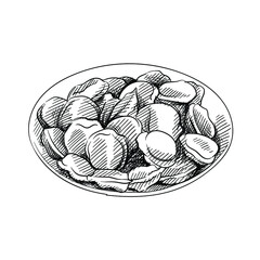 Hand drawn sketch of plate with dumplings on a white background. Dumplings of different shapes. Cooking dumplings. Food and meals.