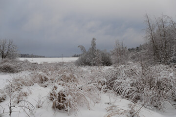 Winter landscape. Dusk, a dim cloudy sky, a deserted field with power line poles. Withered grasses, bare trees and bushes bent to the ground under the weight of the snow. Quiet dim natural background