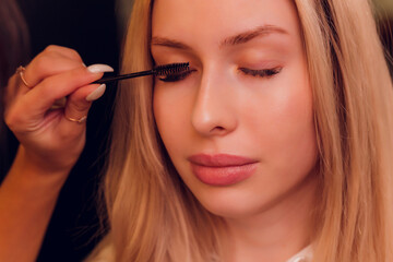 Eyebrows tinting treatment with natural henna dye.