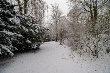 Zimowy krajobraz © Marek