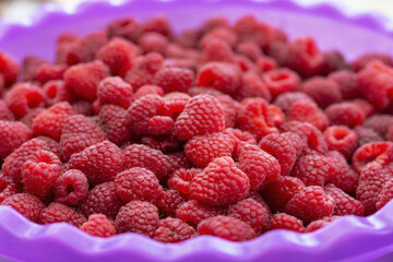 Bowl with raspberry. red berries.