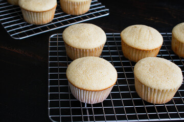 Moscow Mule Cupcakes on Wire Cooling Racks: Vanilla cupcakes flavored with vodka and ginger beer