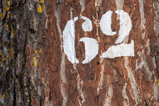 Ü60 Images – Browse 61 Stock Photos, Vectors, and Video | Adobe Stock