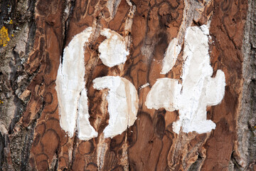 Zahl 64 auf Baumstamm