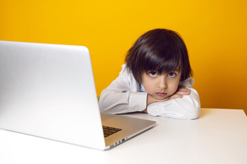 boy child businessman in a white shirt and bow tie sits at a laptop at a desk in a white office