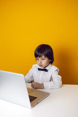 boy child businessman in a white shirt and bow tie sits at a laptop at a desk in a white office