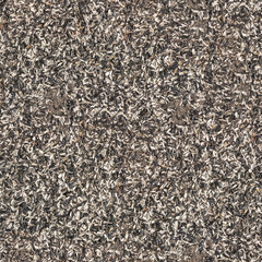 sunflower seed husks in bulk, seamless texture