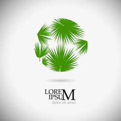 Palm tree object. Vector illustration . Logo palm.