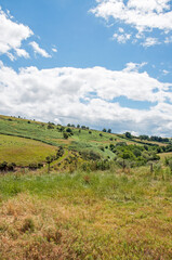 Obraz premium landscape of region country