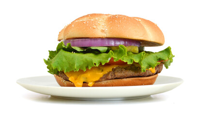 Tasty hot hamburger with onion, meat, tomatoes and salad in white plate