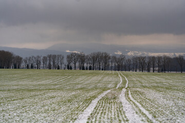 A farmland, still green, and already covered with snow and frost