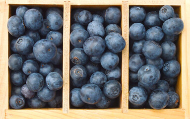 composition from a fresh bow blueberry in wooden box on the white isolated background