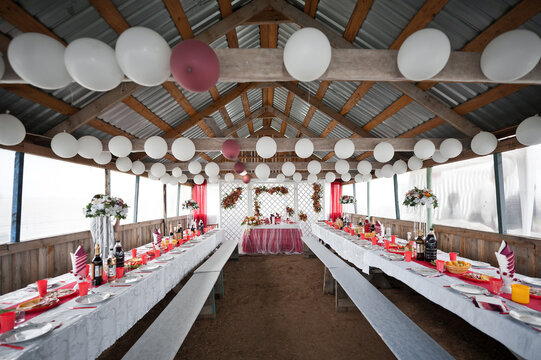 Highlihted from the background place of the newlyweds 2860.