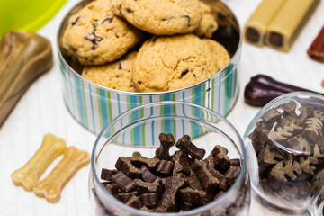 Dog treats spilling out of bowl. Dog treats and biscuits