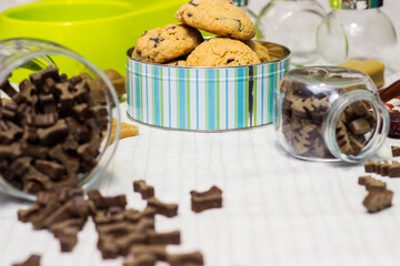 Dog treats spilling out of bowl. Dog treats and biscuits