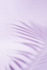 Abstract vertical background of the shadow of a palm tree's leaf in purple