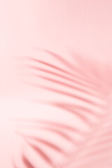 Abstract vertical background of the shadow of a palm tree's leaf in coral pink