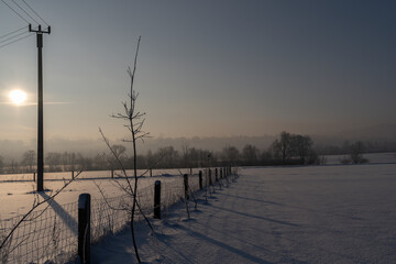 Fototapeta na wymiar Winter sunrise with misty trees on the horizon