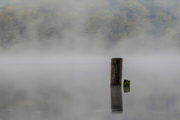Autumn mood at the lake.The colorful forest disappears behind the clouds of mist that pull over the...