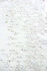 bird tracks in the snow. winter background