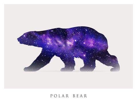 Bear silhouette. Abstract animal shape. Night starry sky