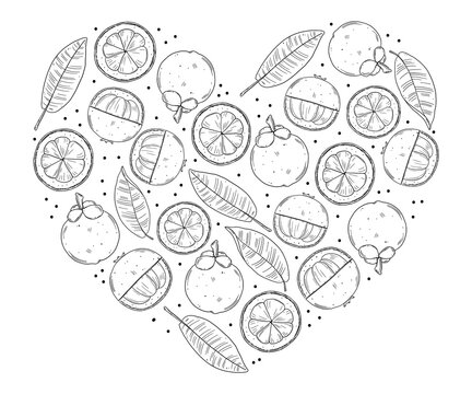 A heart-shaped set of illustrations of mangosteen fruits in different types and leaves of the mangosteen. Black outline drawing are isolated on a white background. Doodle sketch style.