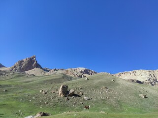 Rocky, gravel, green hills. blue, summer morning sky