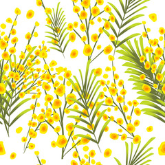 Bouquet of mimosa. From March 8. Seamless background. Vector illustration