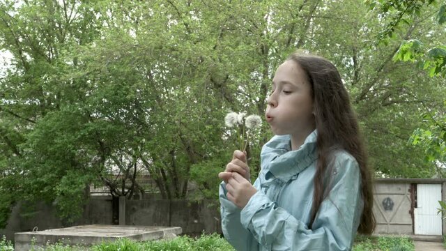 A charming young teenage girl blows on white fluffy dandelions while standing in the yard of a house on a spring day. She puffs out her cheeks comically and blows hard. Concept. Portrait. 4k.