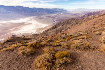 Scrub vegetation along the slopes of Dante's View overlooking the main valley of Death Valley National Park, California

