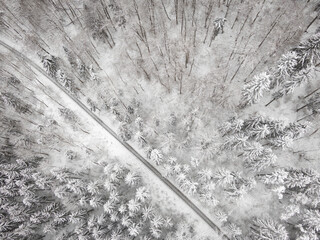 Aerial view on the Forest. Winter Landscape. Forest under snow. Drone Photography