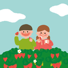 いちご狩りする男の子と女の子