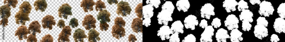 Aufkleber autumn forest scene with cgi trees. 3d rendering - illustration