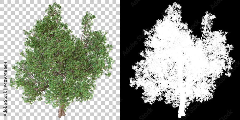 Poster tree isolated on black background with white mask for easy cutout. 3d rendering - illustration