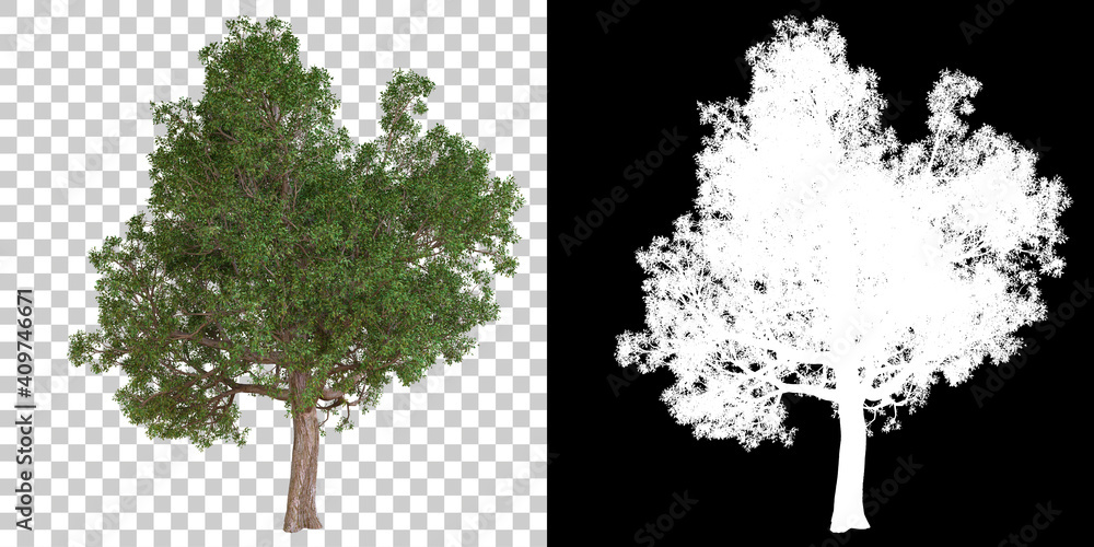 Poster tree isolated on black background with white mask for easy cutout. 3d rendering - illustration