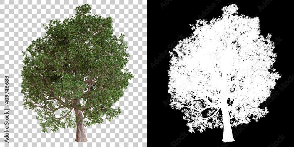 Poster tree isolated on black background with white mask for easy cutout. 3d rendering - illustration
