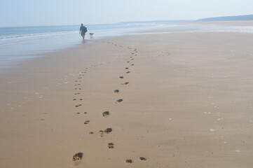 A man and dog walking on the beach crossing paths 