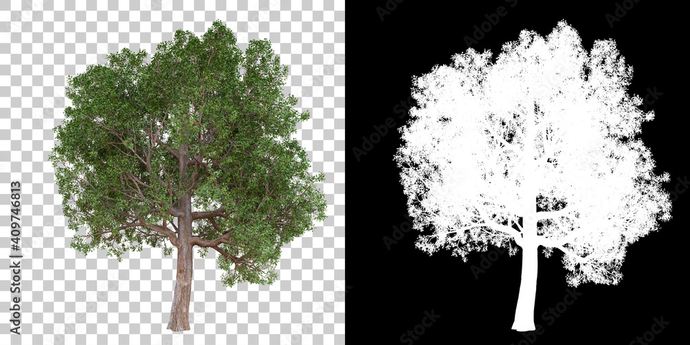 Poster tree isolated on black background with white mask for easy cutout. 3d rendering - illustration