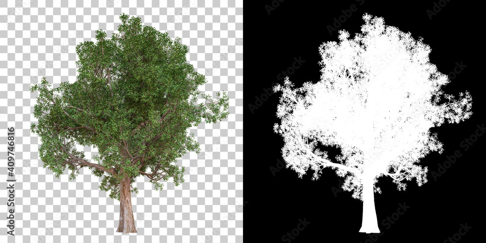 Poster tree isolated on black background with white mask for easy cutout. 3d rendering - illustration