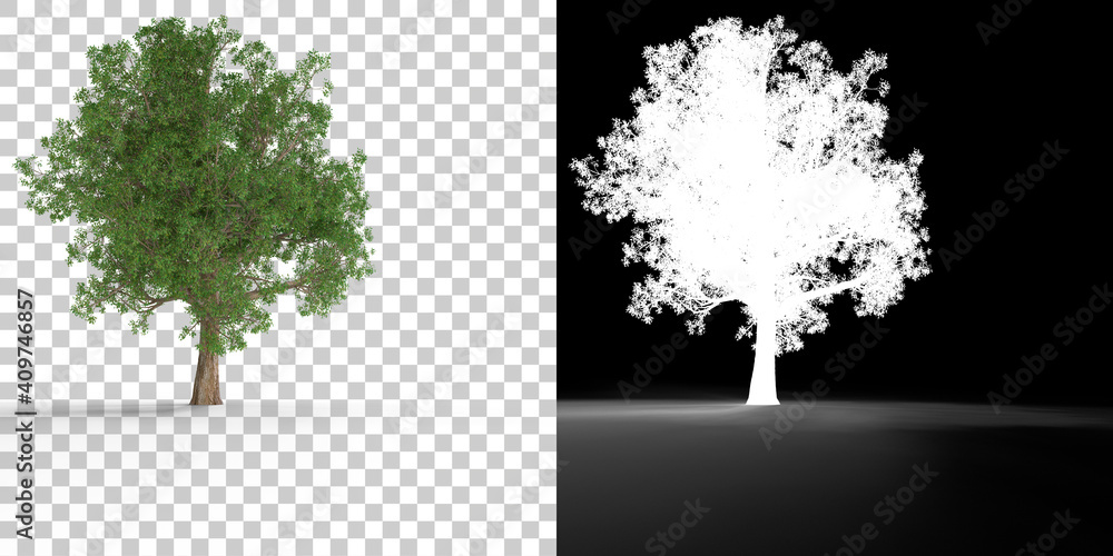 Poster tree isolated on black background with white mask for easy cutout. 3d rendering - illustration