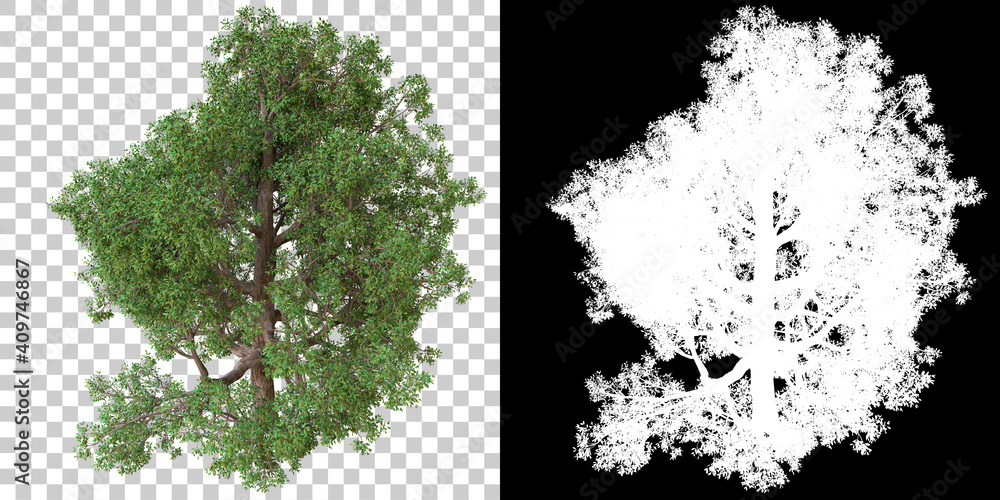 Aufkleber tree isolated on black background with white mask for easy cutout. 3d rendering - illustration