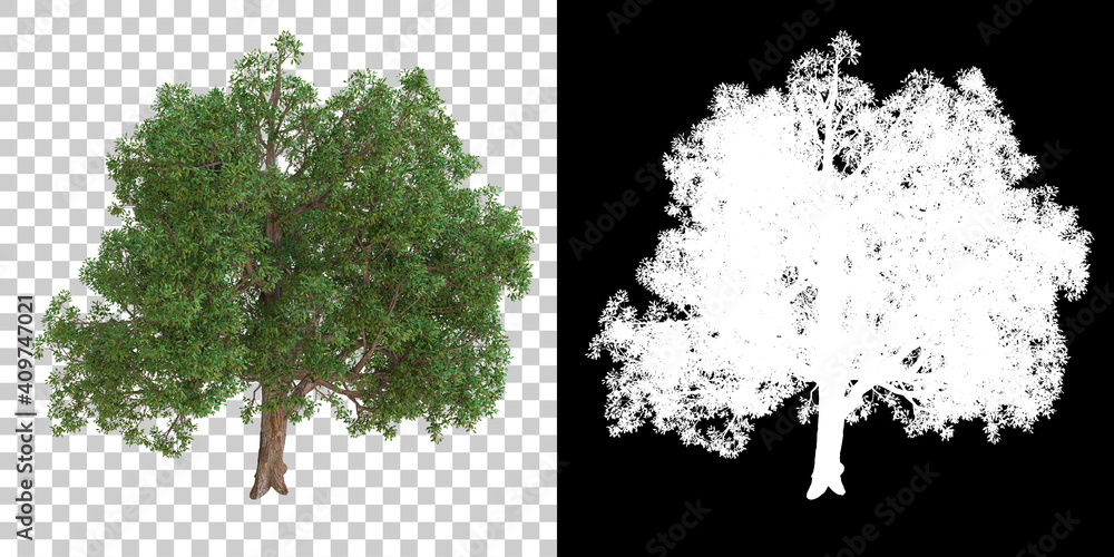 Poster tree isolated on black background with white mask for easy cutout. 3d rendering - illustration