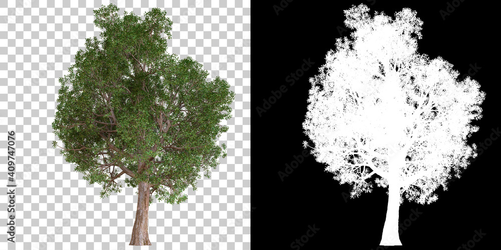 Poster tree isolated on black background with white mask for easy cutout. 3d rendering - illustration