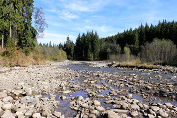 mountain stone river in the forest