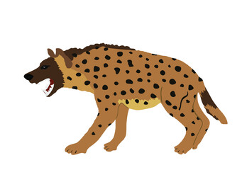 Hyena vector illustration isolated on white background. Wild animal from Africa. Scary predator. Safari wildlife member.