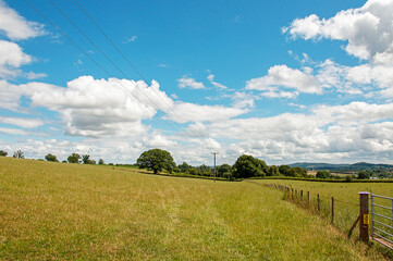 Summertime fields and landscape.