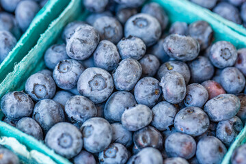 Blueberries