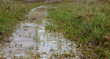 frozen water with patterned and rippled ice along a flooded country grass pathway