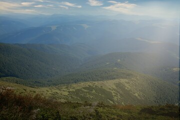 Naklejka premium Carpathians mountain range at summer morning. Beauty of wild virgin Ukrainian nature. Peacefulness