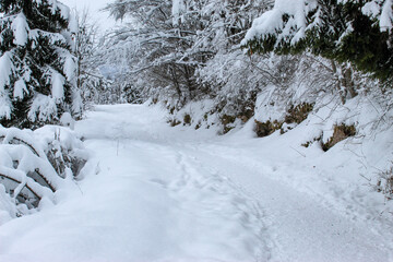 Snow trail on the mountain Trebević. Snowy pathway.